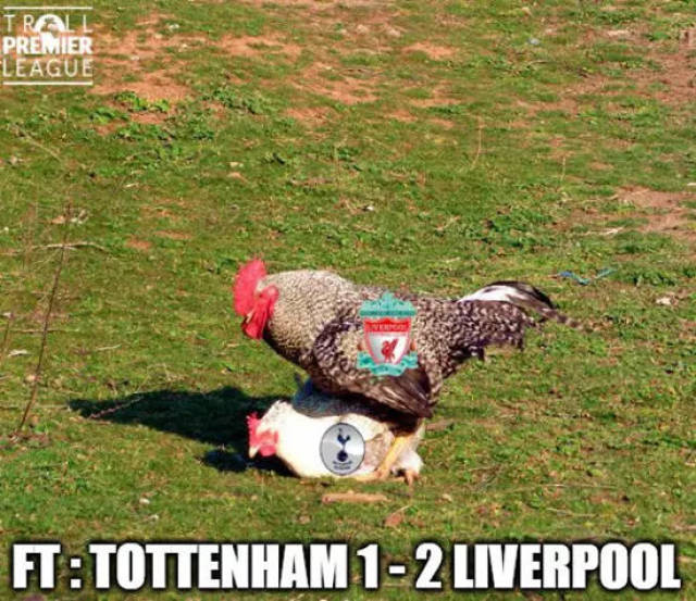 皇马更衣室危机缓解，阿隆索暂无下课可能，球队有望取得3连胜，全队团结推动复兴。（皇马更衣室危机消解，阿隆索暂无下课风险，球队有望拿下3连胜，团结一心推进复兴）